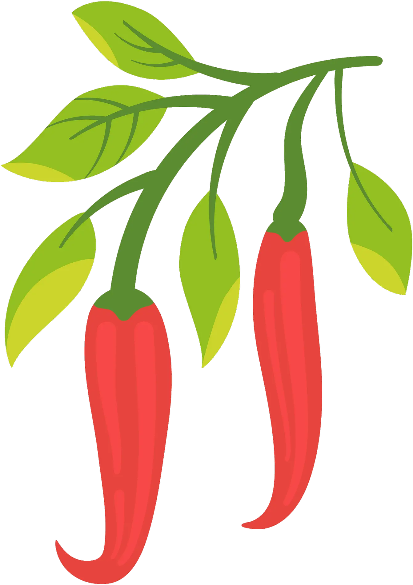  Chili Pepper Clipart Free Download Transparent Png Creazilla Dibujo Planta De Aji Chili Png