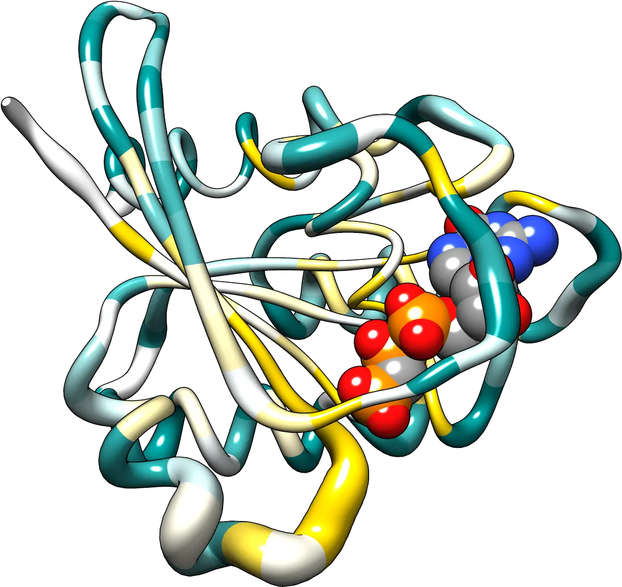  Hras Bfactor Worm Colored Protein B Factor Chimera Png Worm Png