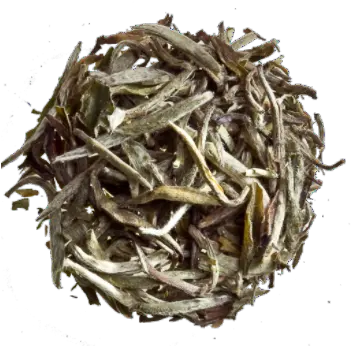  Silver Needles Organic Dafang Tea Png Tea Leaf Png