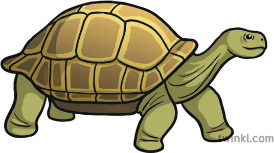  Tortoise Emoji Animals Nature Science Animal Figure Png Emoji Animals Png