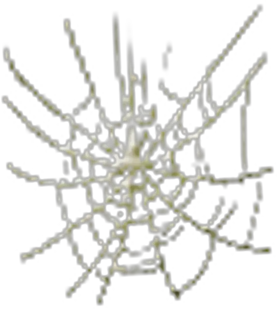  Spider Web Spider Web Png Spider Webs Png