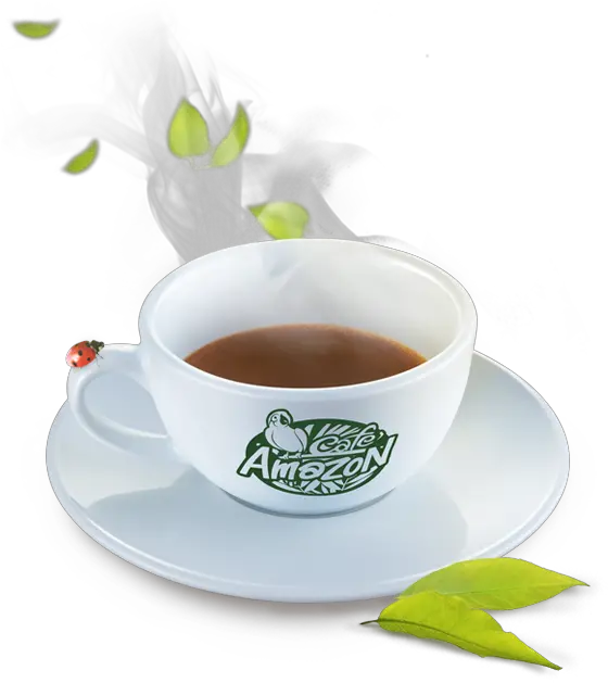  Amazon Coffee Png 4 Image