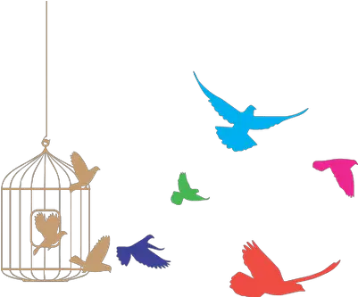  Bird Cage Transparent Png Birds Flying Clipart Cage Transparent Background