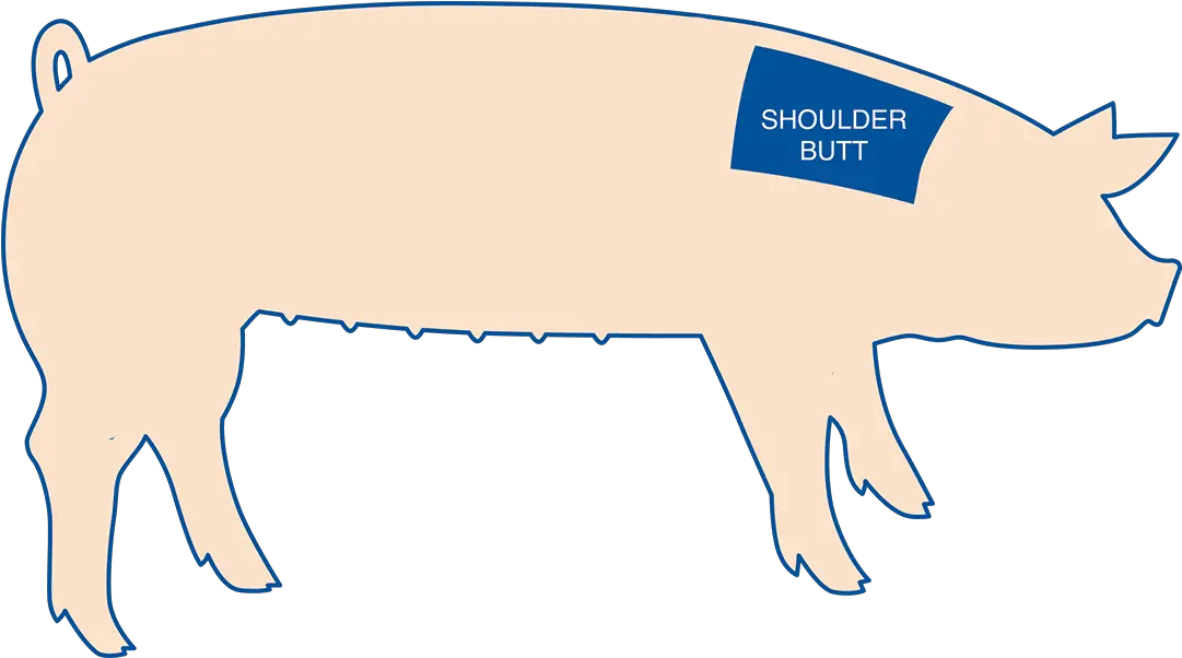  Download Pig Butt Png Domestic Pig Butt Png