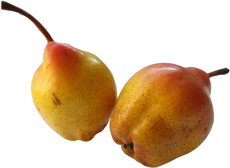  Fresh Ripe Pear Png Image Pngpix Food Pear Png