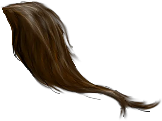  Tail Png 5 Image Horse Tail Png Tail Png