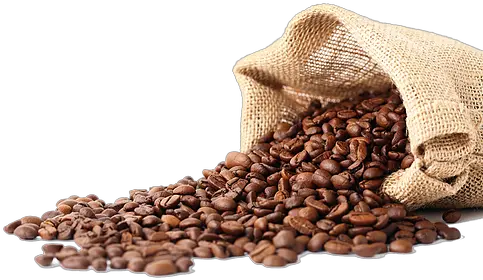  Coffee Png Image Coffee Beans Png Coffee Png