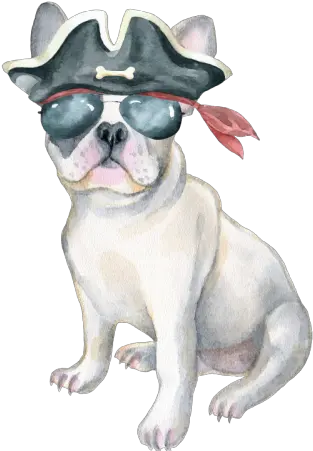  Frenchie French Bulldog Pirate Hat 2 By Vroomie Inktale Png Transparent