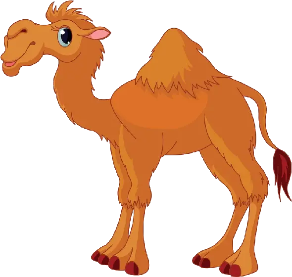  Camel Png Photo Transparent Camel Clip Art Camel Png