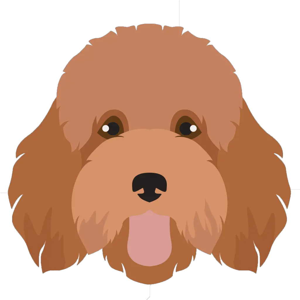  Types Of Doodles Red Barn Doodle Farm Png Poodle Icon