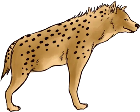  Hyena Icon Png Hyena Clipart Png Hyena Png