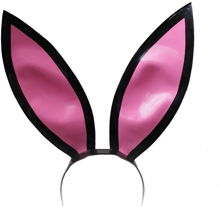  Ears Png Blue Bunny Ears Ears Png