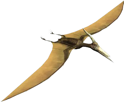  Pterosaur Pteradactyl Facts Png Pterodactyl Png