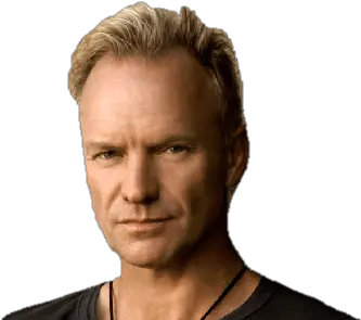  Sting Face Transparent Png Sting Face Transparent Sting Png