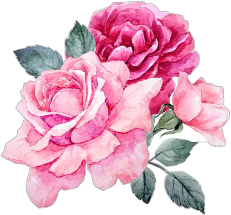  Pink Flowers Peonies Peony Rose Roses Png