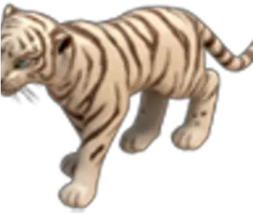  White Tiger Bengal Tiger Png White Tiger Png