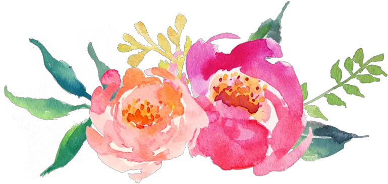  Download Hd Watercolor Peonies Png Transparent Background Flower Peonies Png Peonies Png