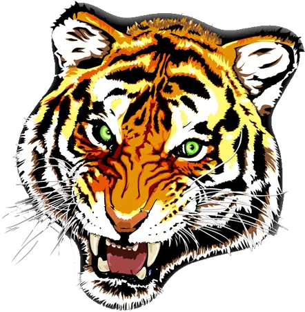  Download Tigre Tattoo Png Face Tattoo Png