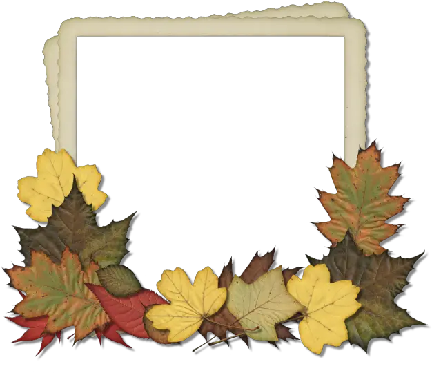  Fall Leaves Frame Png Transparent Portable Network Graphics Fall Frame Png