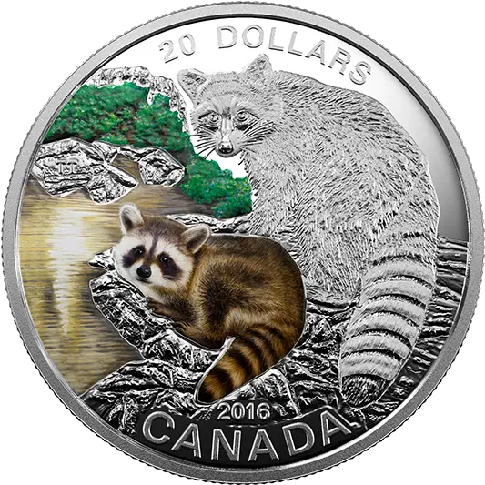  Baby Animals Raccoon Mintage Animals On Canadian Coins Png Raccoon Transparent Background