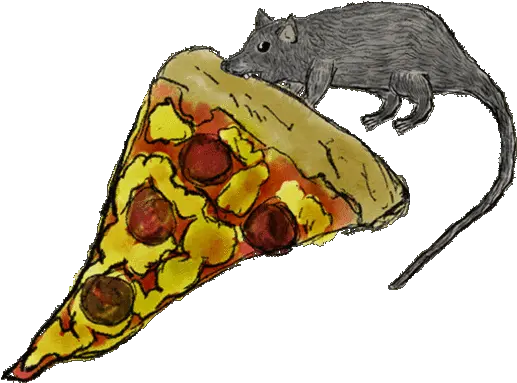  Pizza Rat Ground Squirrels Png Rat Transparent