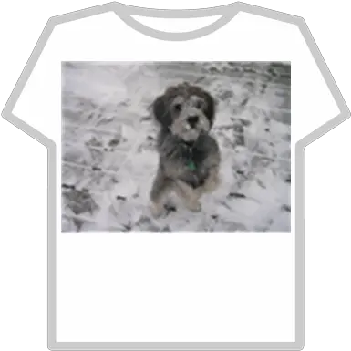  Snow Doggif Roblox Free Supreme T Shirt Roblox Png Snow Gif Png