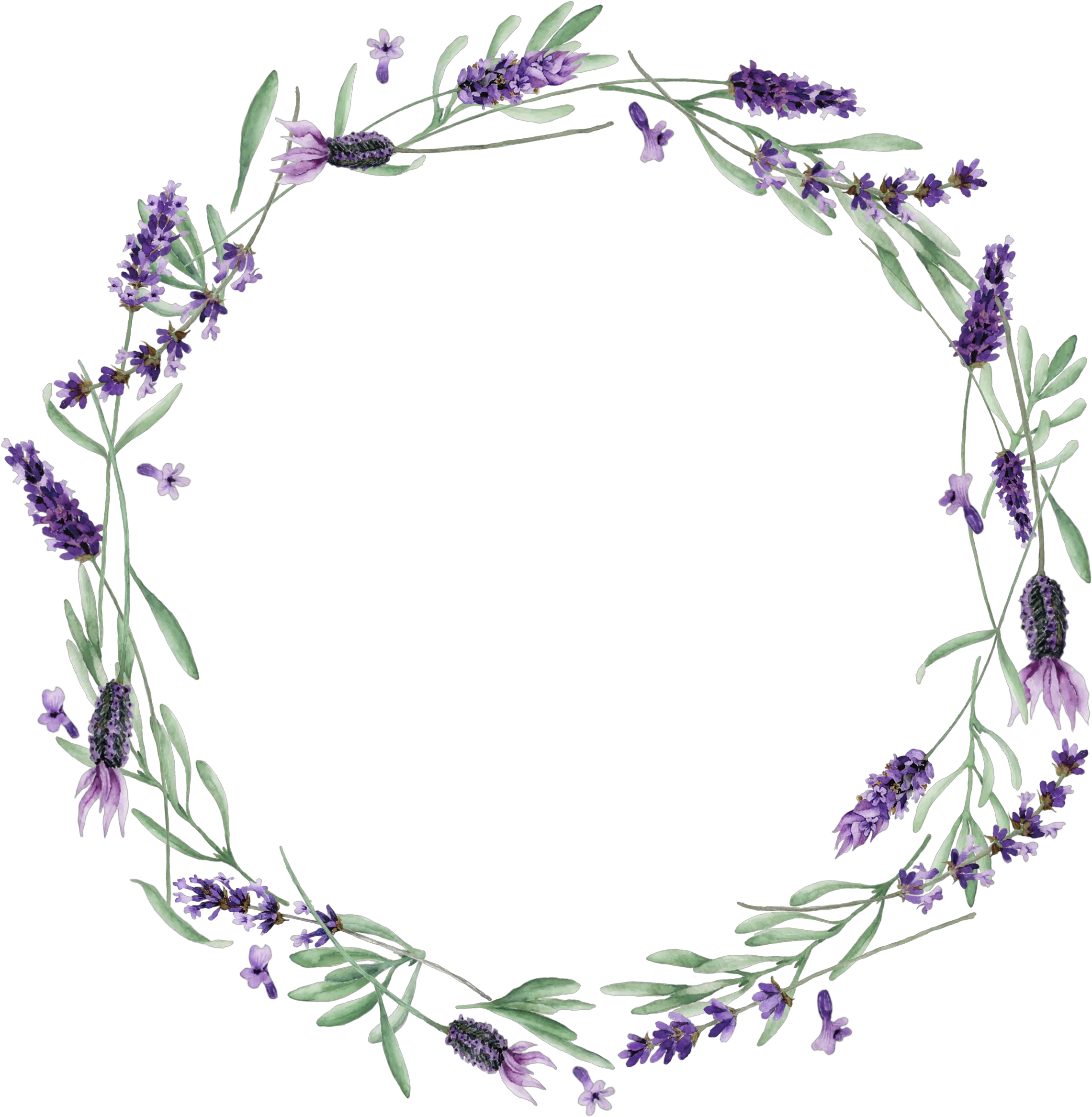  Download Visit Lavendar Wreath Transparent Png Image With Vector Lavender Png Wreath Transparent