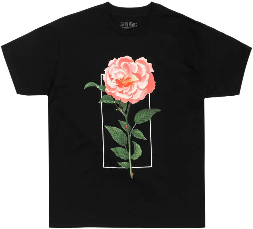  The Tour Flower T Shirt Shawn Mendes Tshirt Merch Png Shawn Mendes Png