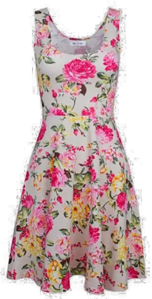  Summer Dress Png 2 Image Transparent Background