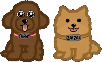  Dog Riddles U0026 Trivia Baamboozle Png Poodle Icon