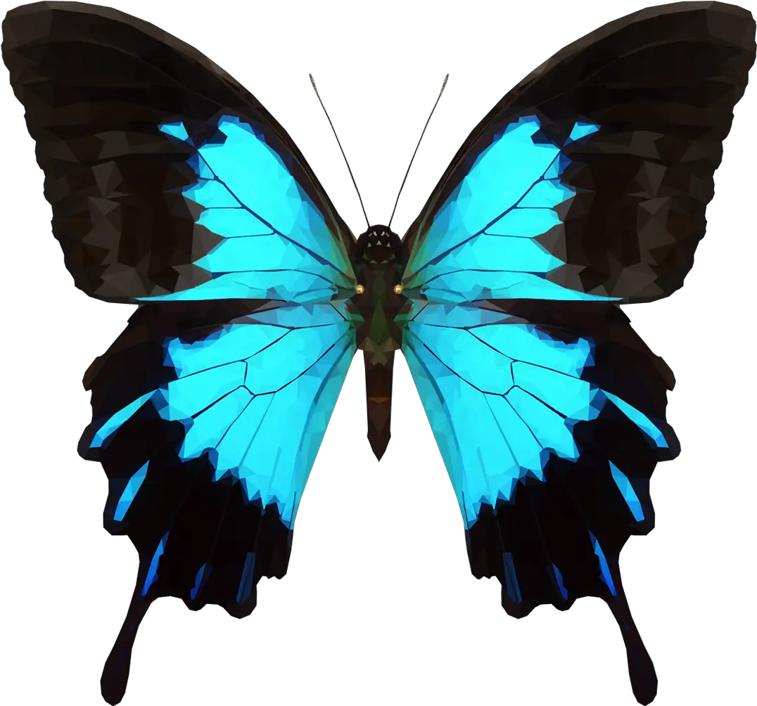  Moth Clipart Tumblr Transparent Png Download Full Size Ulysses Butterfly Moth Transparent Background