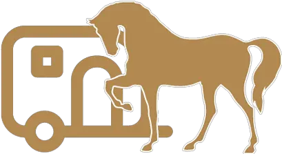  Training Berlinsporthorses Horse Supplies Png Horse Rider Icon