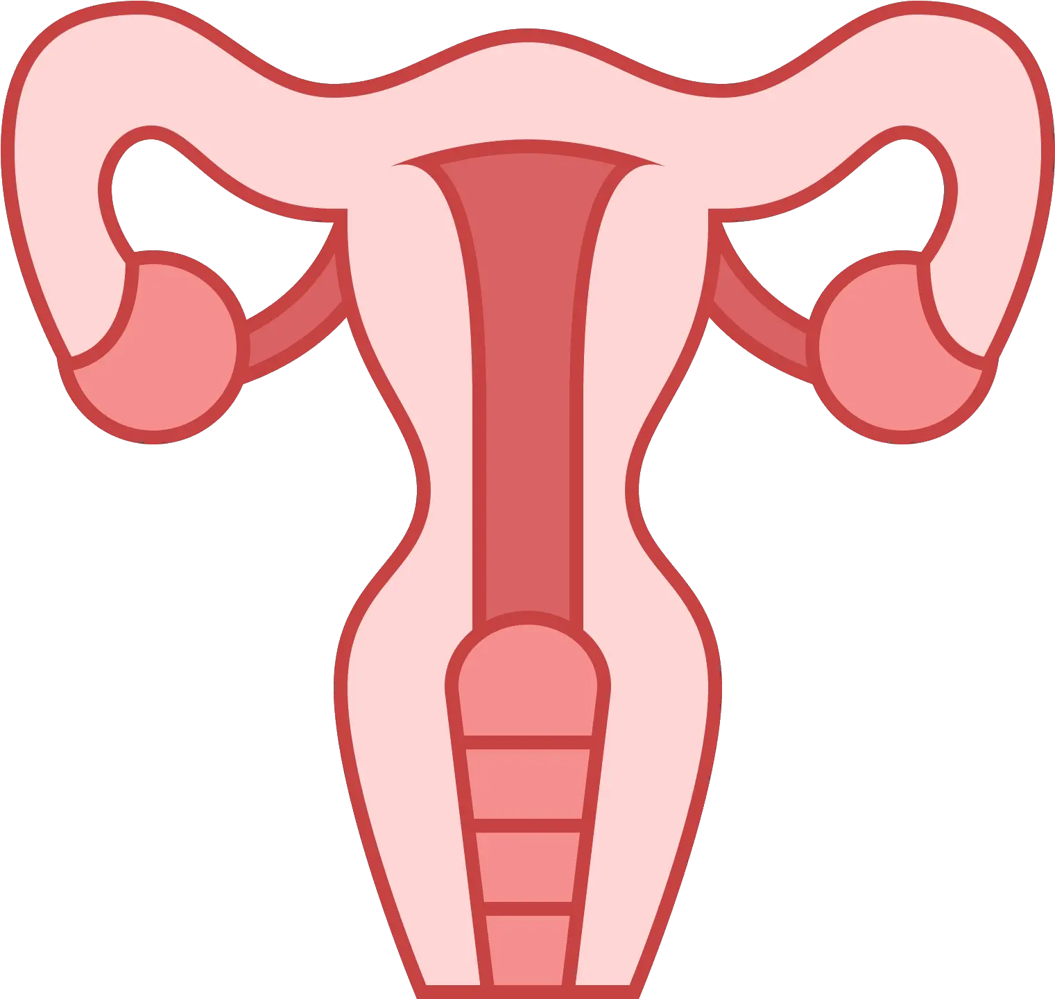  This Icon Represents The Uterus Of A Difference Between Pcos And Pcod Png Vagina Png