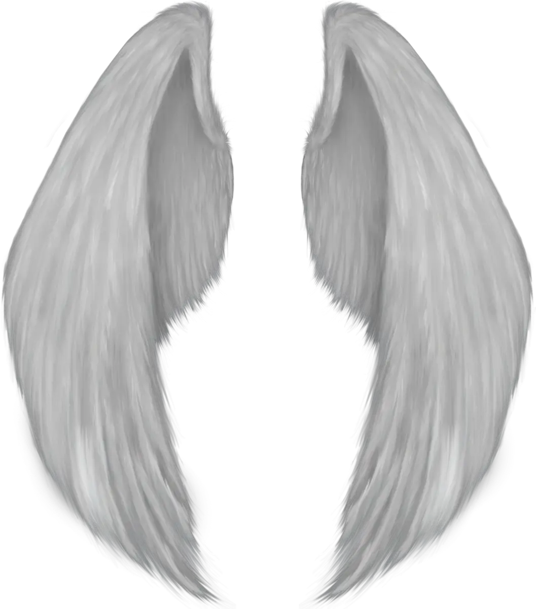  Angel Wing Drawing Wings Png Download 10611201 Free Transparent Background Angel Wings Png Wing Png