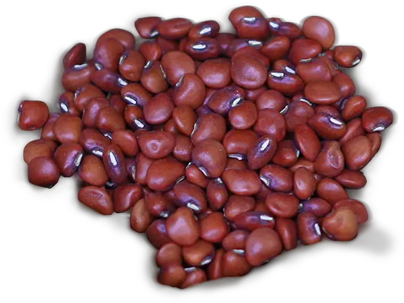  Png Background Beans Transparent