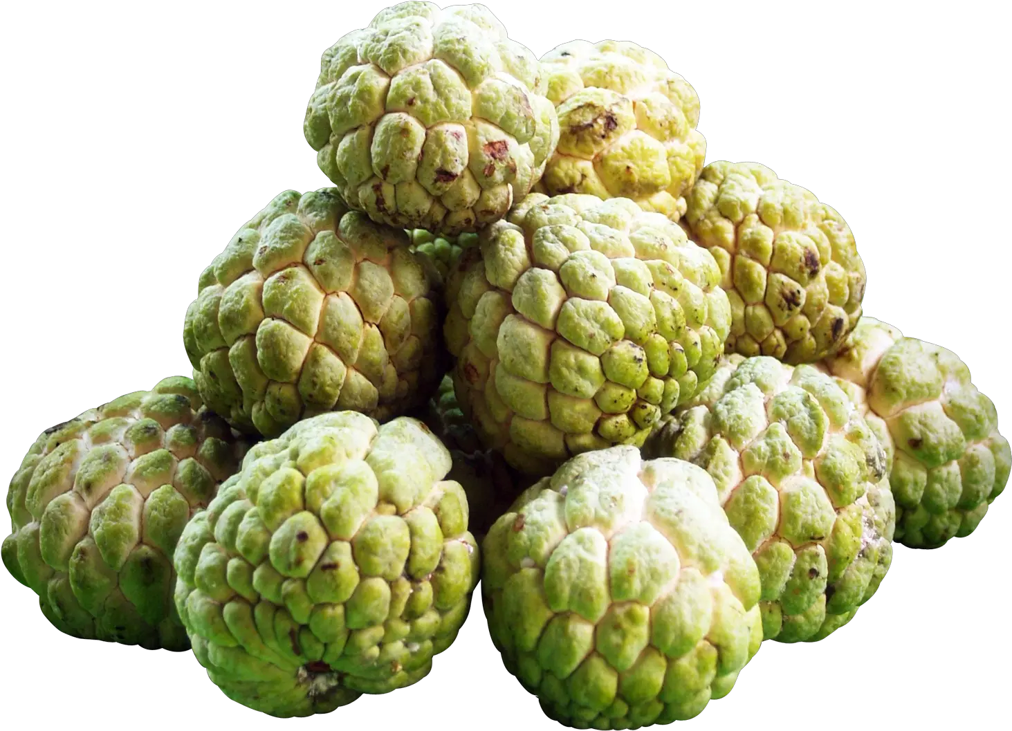  Download Custard Apples Png Image For Free Custard Apple Fruit Png Apples Transparent Background