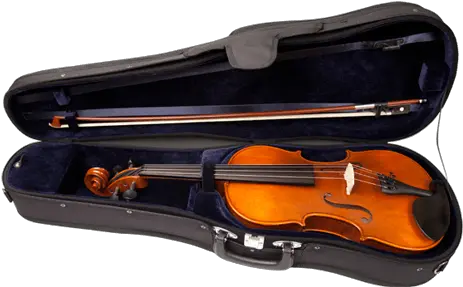  Rsv Signature Model Violin Outfit Png Transparent