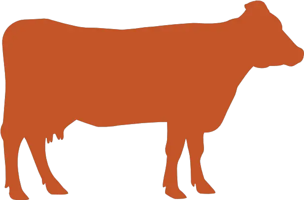  Cow Comfort Alltech Animal Figure Png Cow Icon