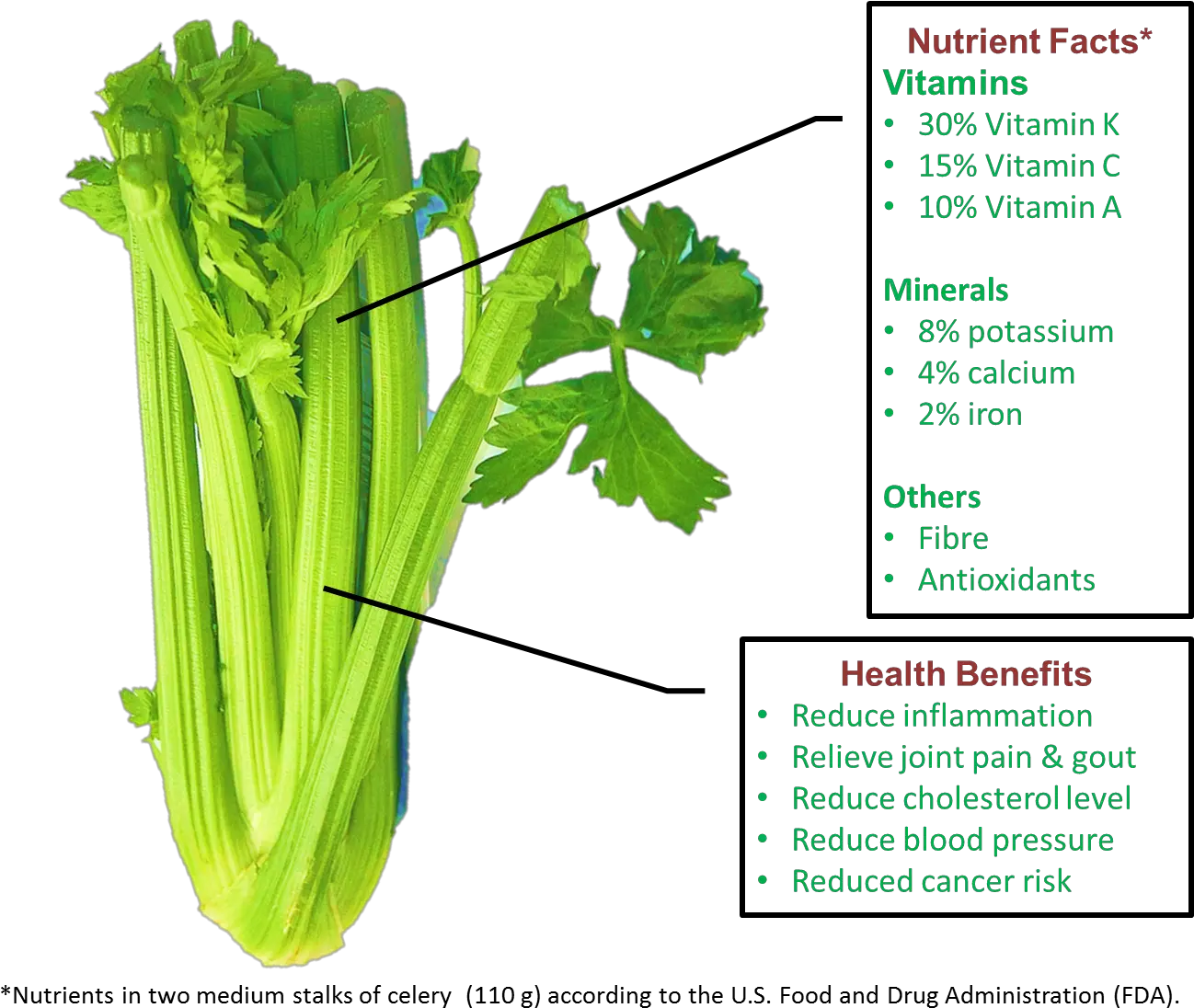  Dosinghealth U2013 Dosing Health Png Celery