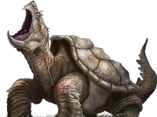  Download Giant Snapping Turtle Png Galápagos Tortoise Turtle Png