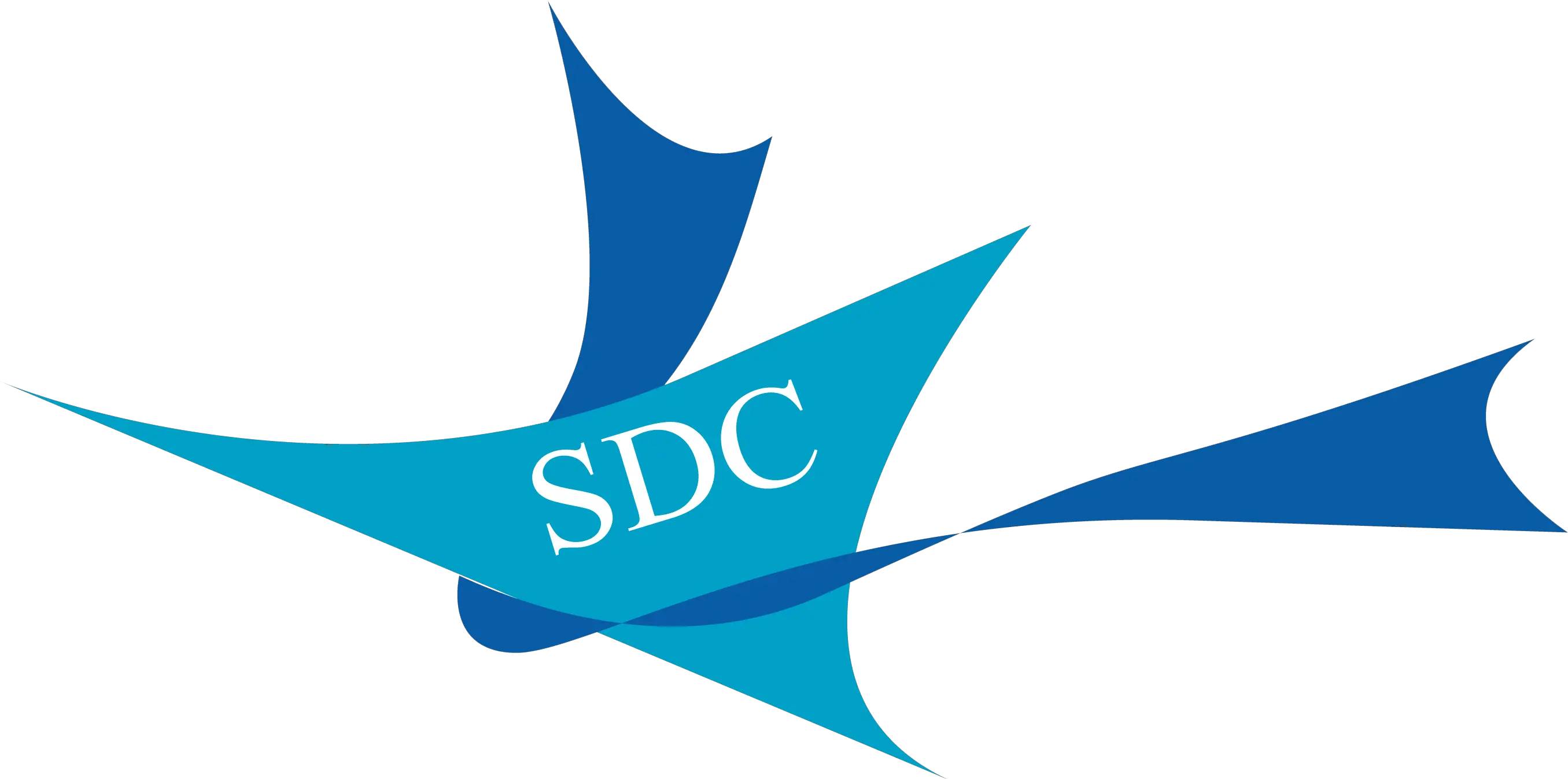  Download Sdc Blue Ribbon Foundation Logo Graphic Design Sdc Blue Ribbon Foundation Png Ribbon Logo Png