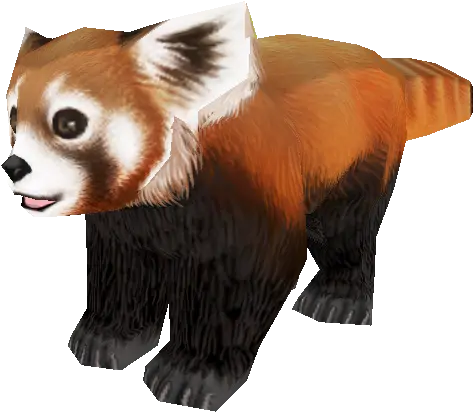  Red Panda Bear Giant Fur Snout Zoo Tycoon Red Panda Png Red Panda Transparent