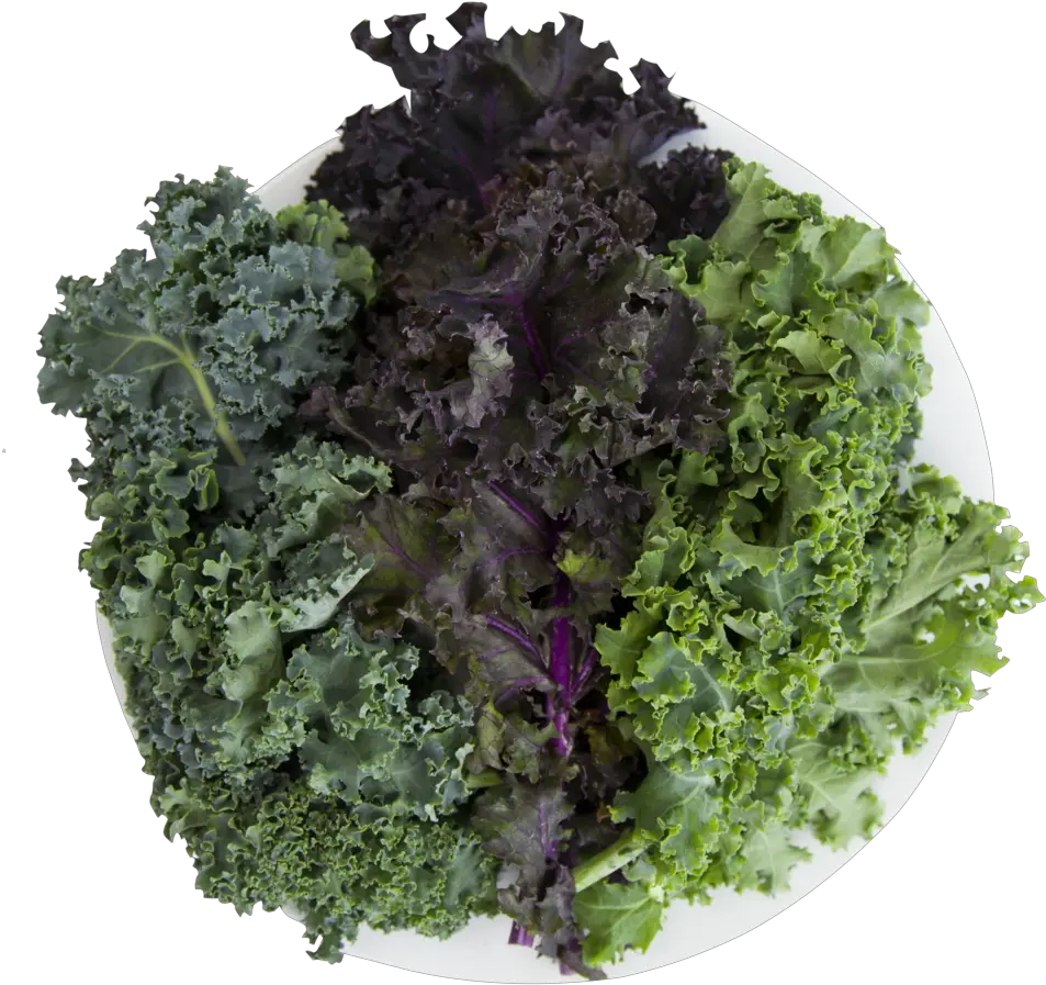  Curly Kale Png Image With No Background Cruciferous Vegetables Kale Png