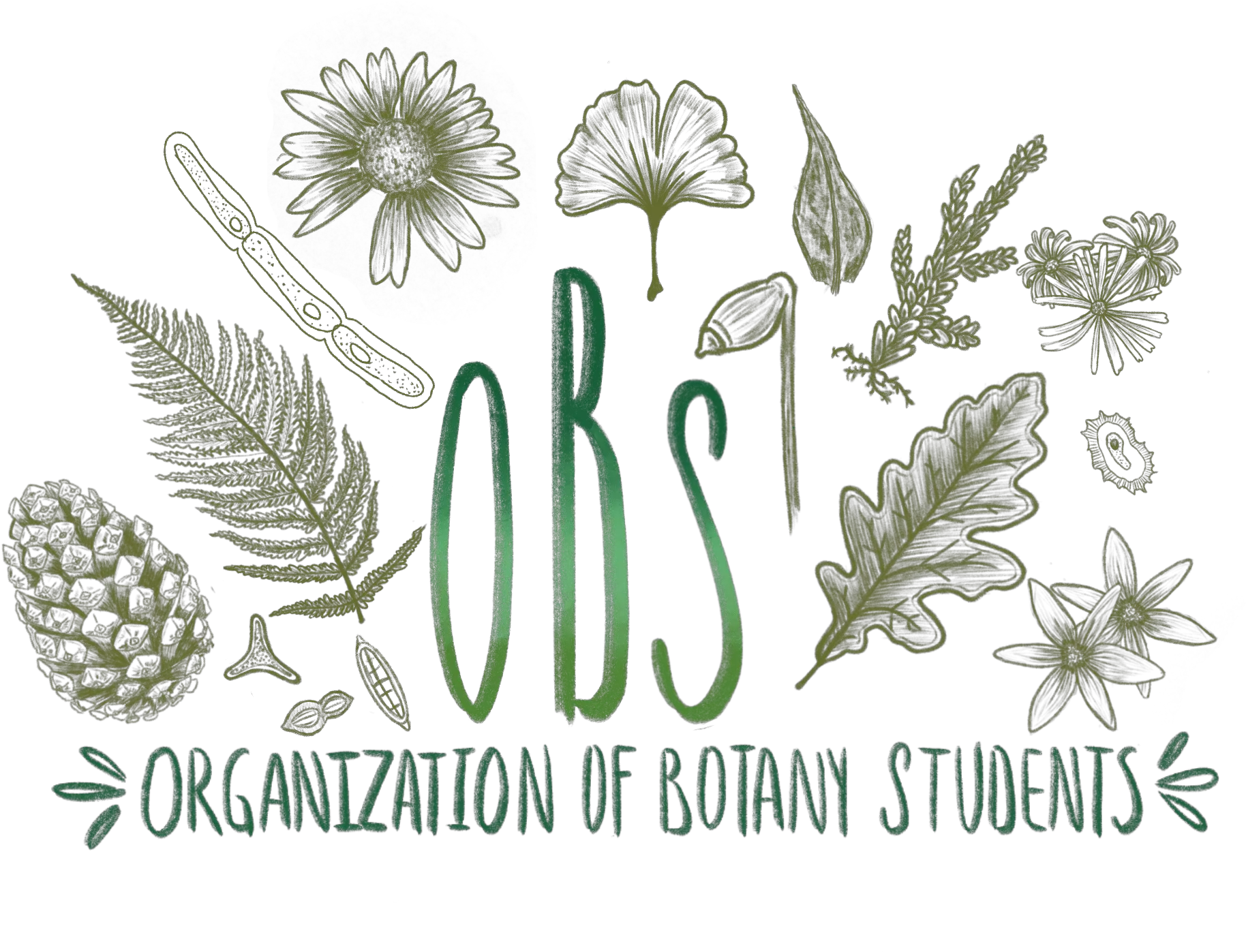  Interdepartmental Science Students Society Drawing Png Obs Logo Png