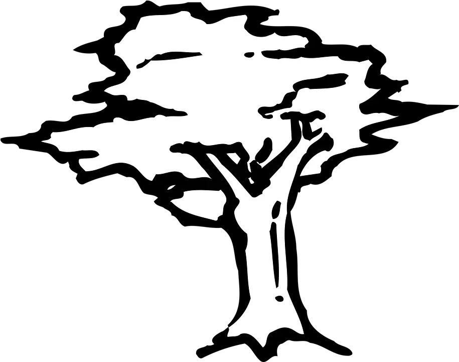  Arbor Drawing Icon Swamp Stencil Tree Png Drawing Icon Png