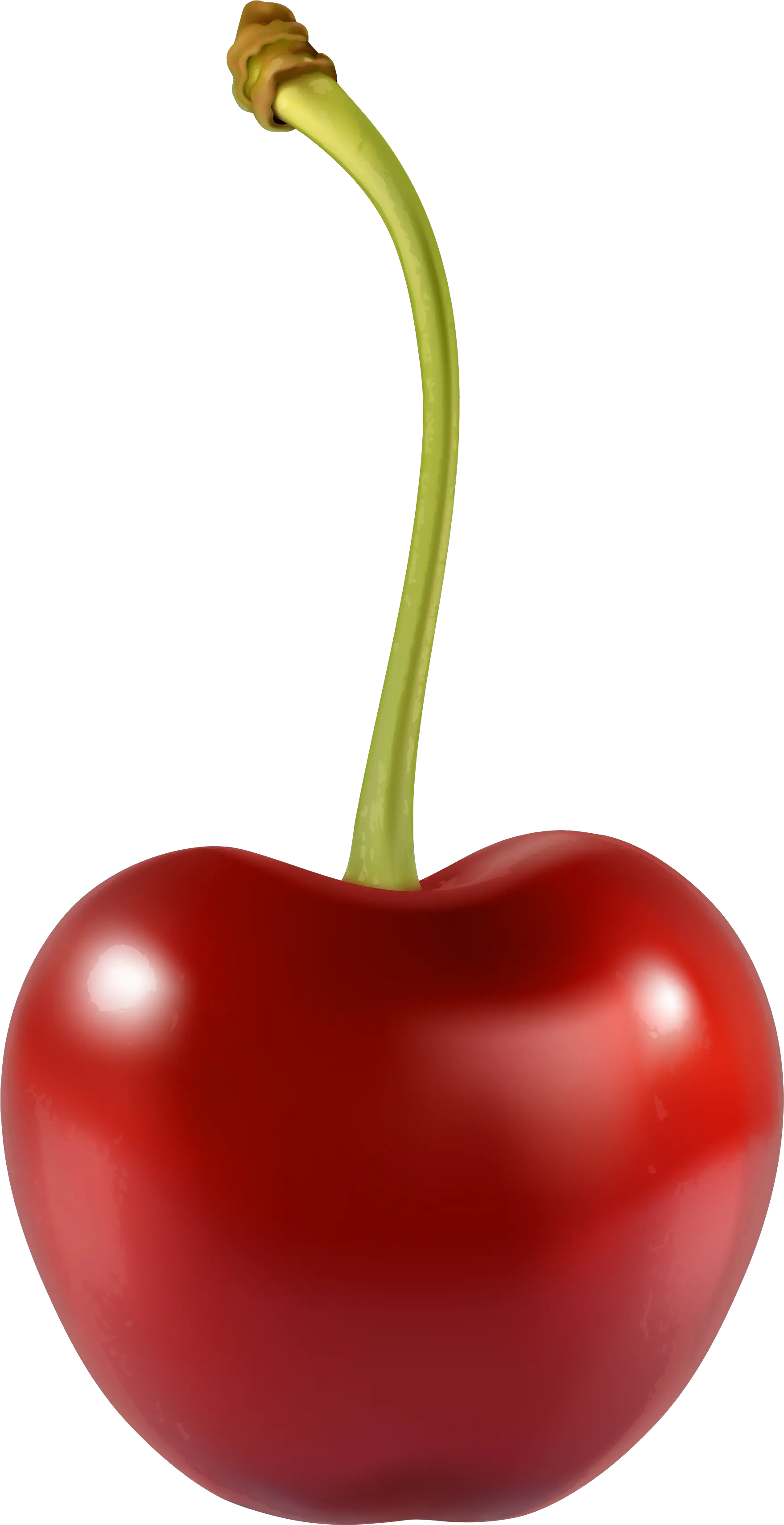  Cherry Transparent Png Clipart Free 1 Cherry Clipart Cherries Png