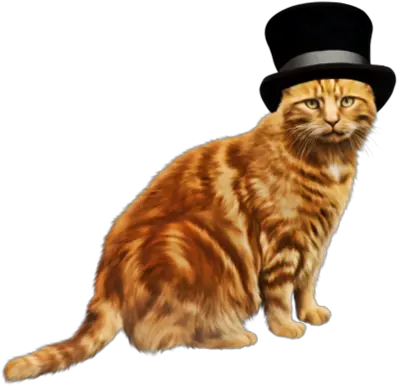  Orange Cat With A Hat Transparent PNG