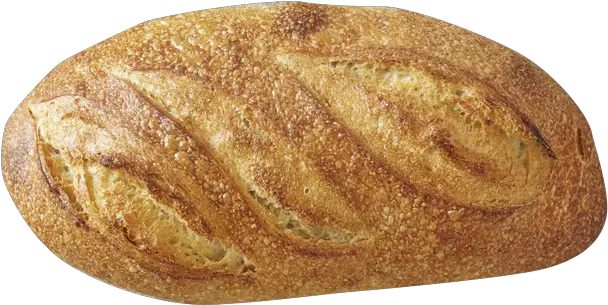  Breads U2014 Bread Alone Sourdough Png Baguette Png