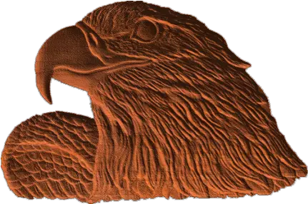  Eagle Head Ab003 Hawk Png Eagle Head Png