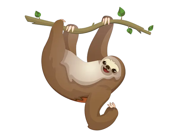  Cute Sloth Png Sloth Clipart Sloth Png